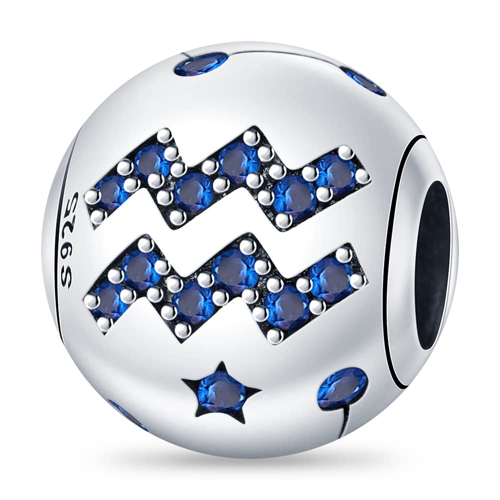925 Sterling Silver Zodiac Sign & Birthstone Charms - Pandach Beaded Charms for Women's Bracelet & Necklace | Birthday Gifts for Girls, Friends & Loved Ones | Perfect for Jewelry Making, Personalized Gifts & Special Occasions