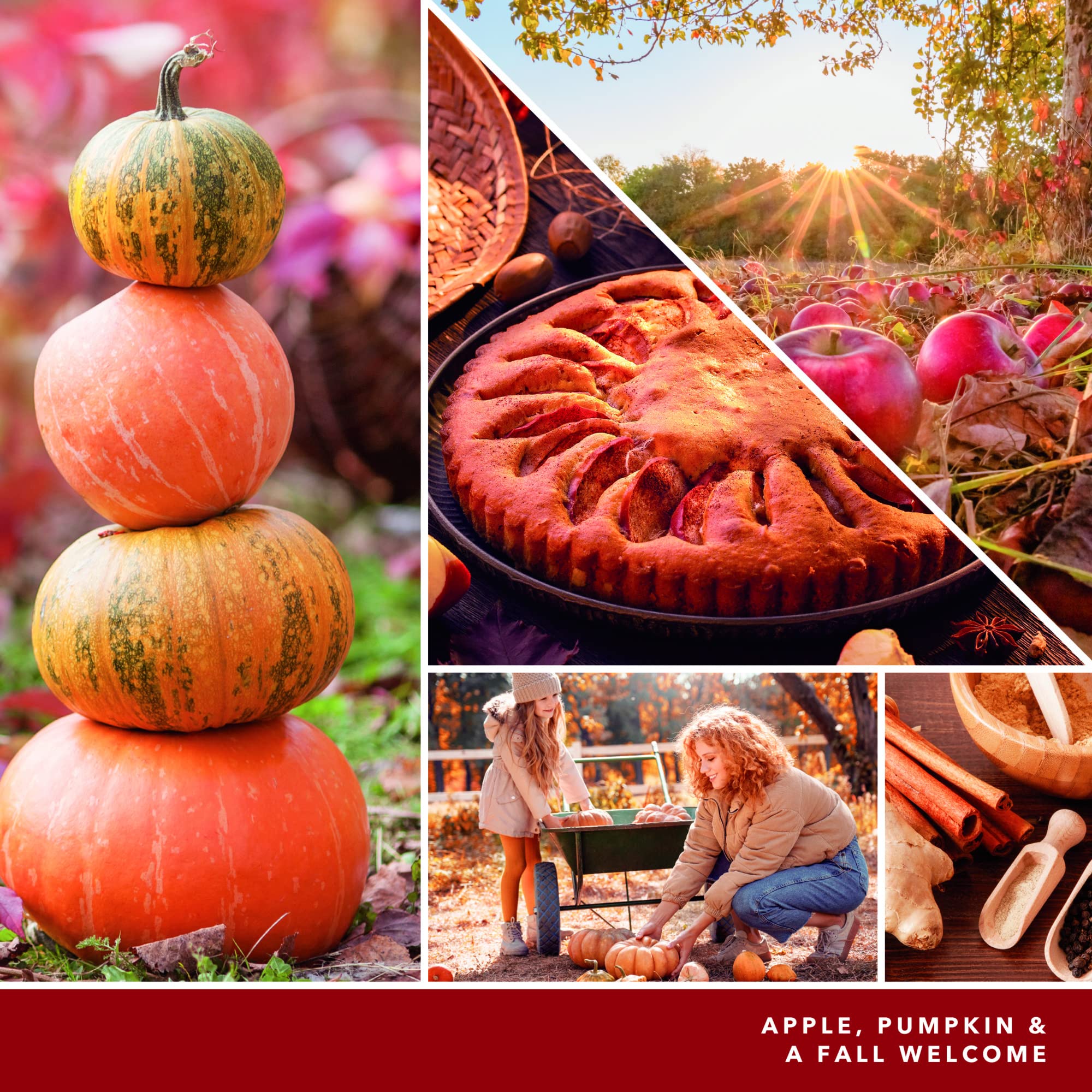 Yankee Candle Apple Pumpkin Scented Candle - 4.3oz Small Tumbler with Single Wick, 20+ Hours Burn Time | Fall Home Decor, Cozy Autumn Ambiance for Living Room, Bedroom & Office
