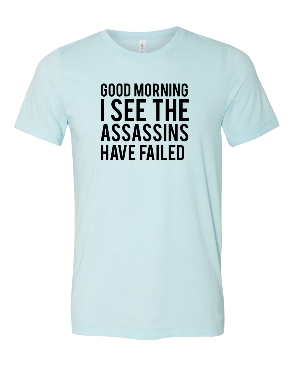 Good Morning I See The Assassins Have Failed T-Shirt - Sarcastic Funny Quote Tee with Dark Humor - Perfect Gift for Comedy Lovers | Great for Parties, Cosplay & Everyday Wear