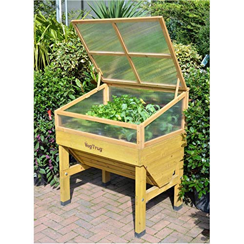 VegTrug Classic Cold Frame - Durable Spacious Wooden Garden Greenhouse for Seedlings & Plants (1m) | Perfect for Backyard Gardening, Urban Farming & Winter Plant Protection