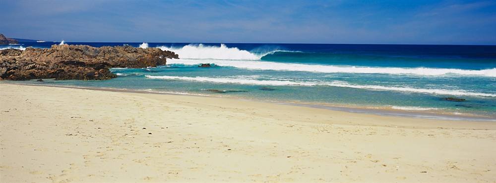 Peel & Stick Wall Mural - Australian Beach Waves Wallpaper (60