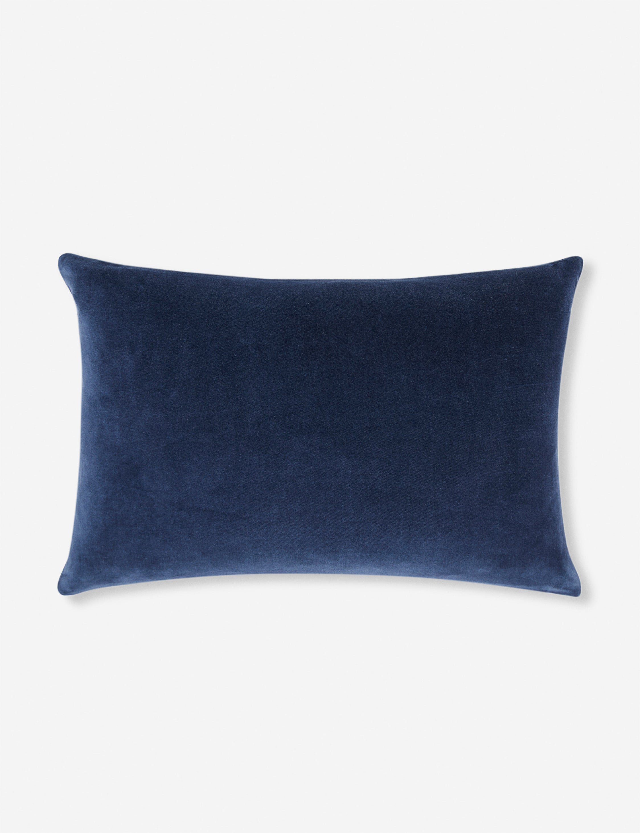 Charlotte Velvet Pillow - Soft & Luxurious Decorative Throw Pillow for Sofa, Bed, Couch - Perfect for Living Room, Bedroom & Home Decor