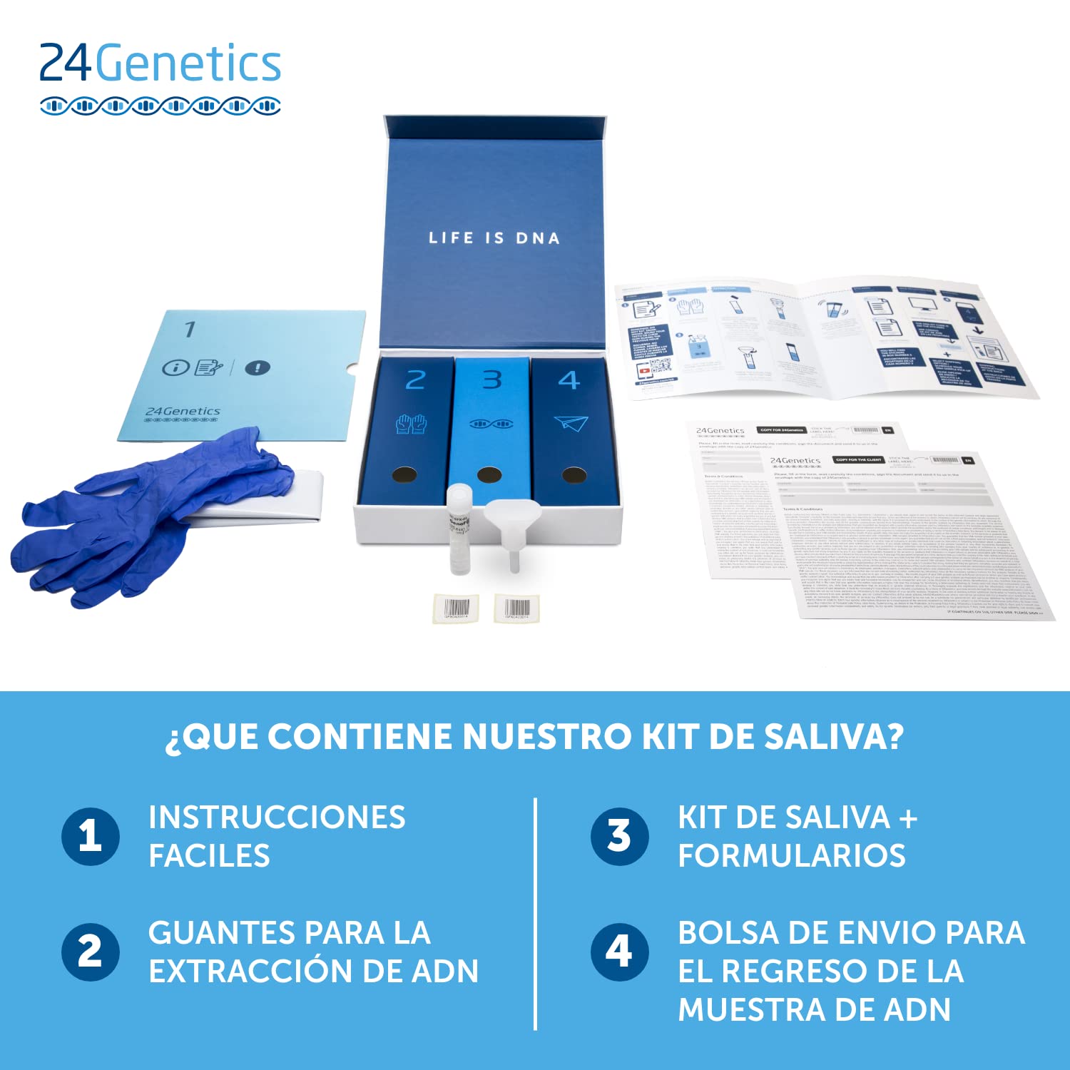 6-in-1 DNA Test Kit: Comprehensive Genetic Analysis for Health, Nutrigenetics, Sports Performance, Skincare, Pharmacogenetics & Ancestry - At-Home DNA Testing with Detailed Reports - Perfect for Personalized Wellness & Family History Discovery
