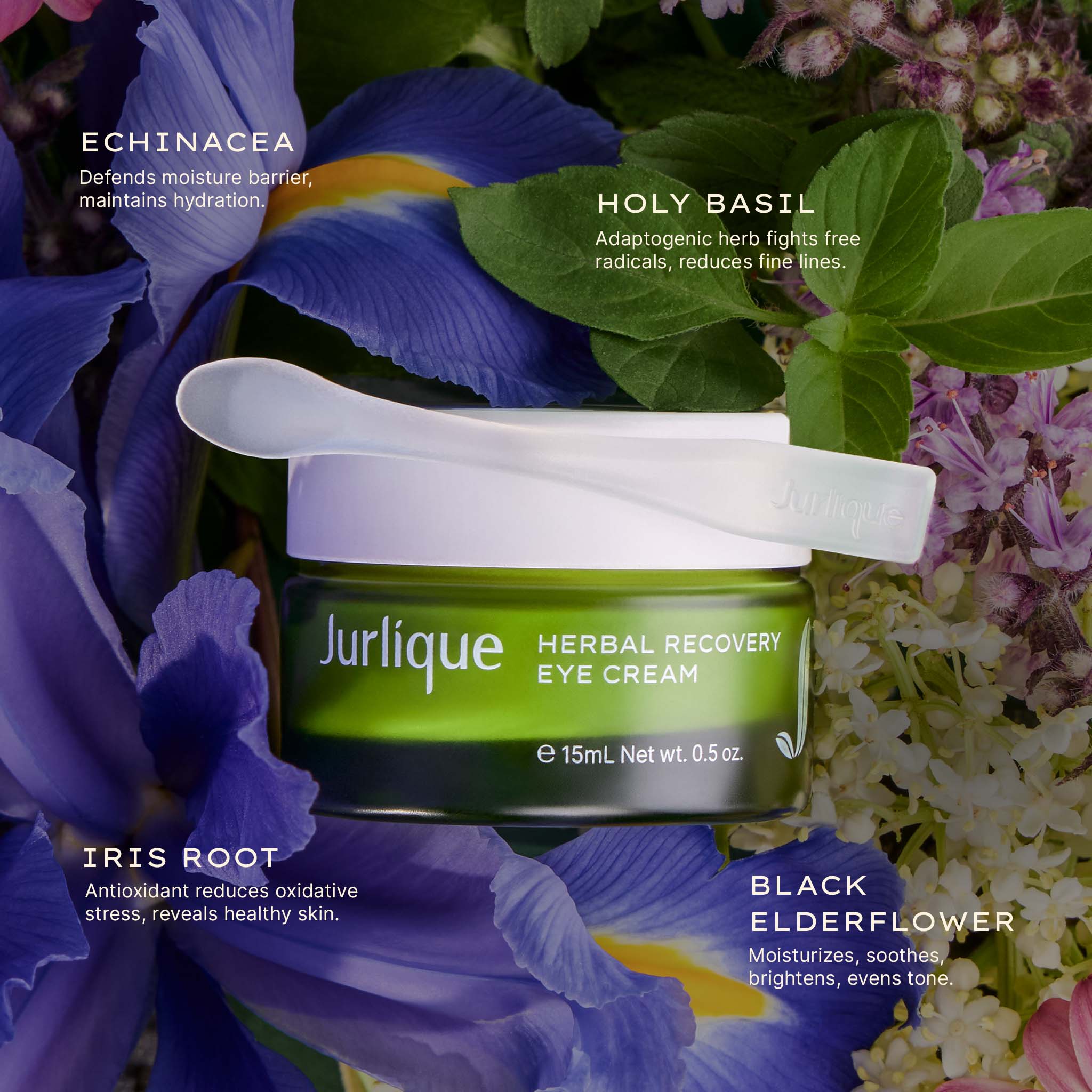 Herbal Recovery Eye Cream for Dark Circles & Puffiness - Organic Anti-Aging Eye Treatment - Reduce Wrinkles & Fine Lines - Perfect for Night & Morning Skincare Routine