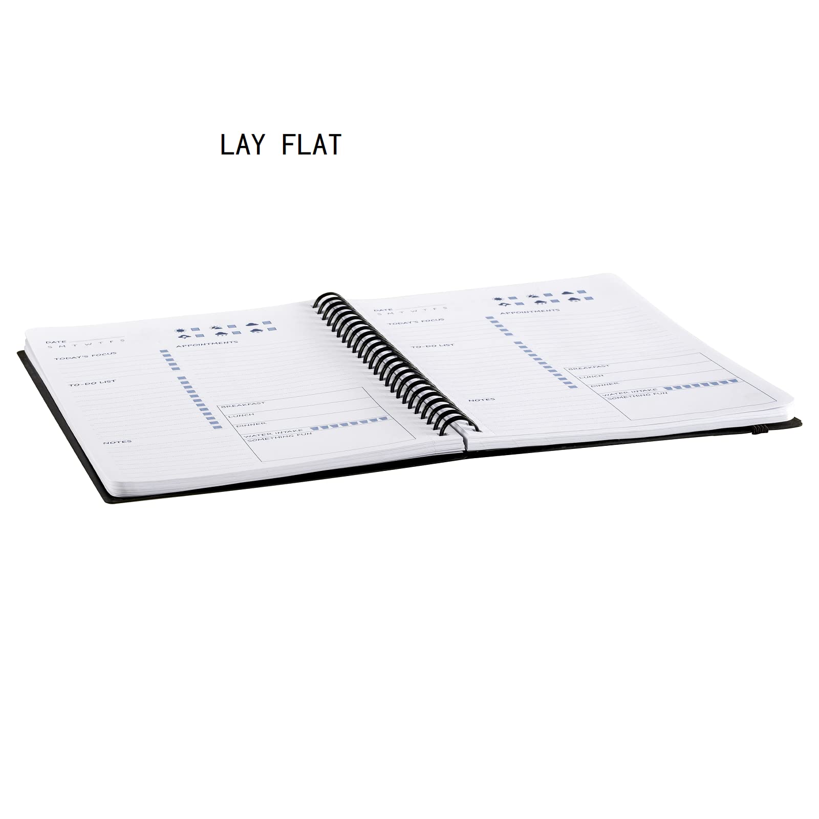 Cheneyboo Undated Daily Planner Notebook - 7.3