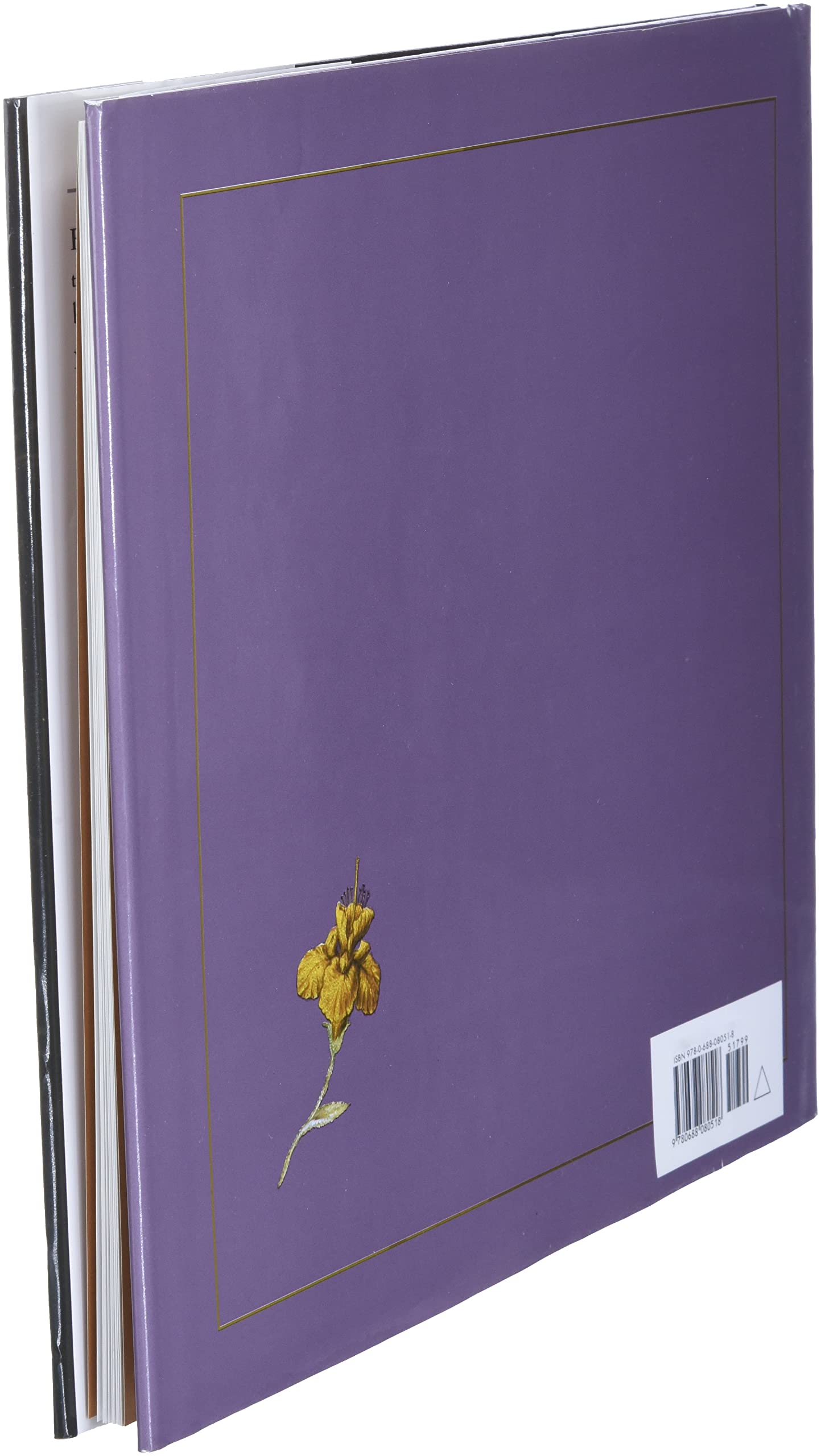 The Twelve Dancing Princesses - Classic Fairy Tale Book for Kids | Perfect for Bedtime Stories & Children's Reading