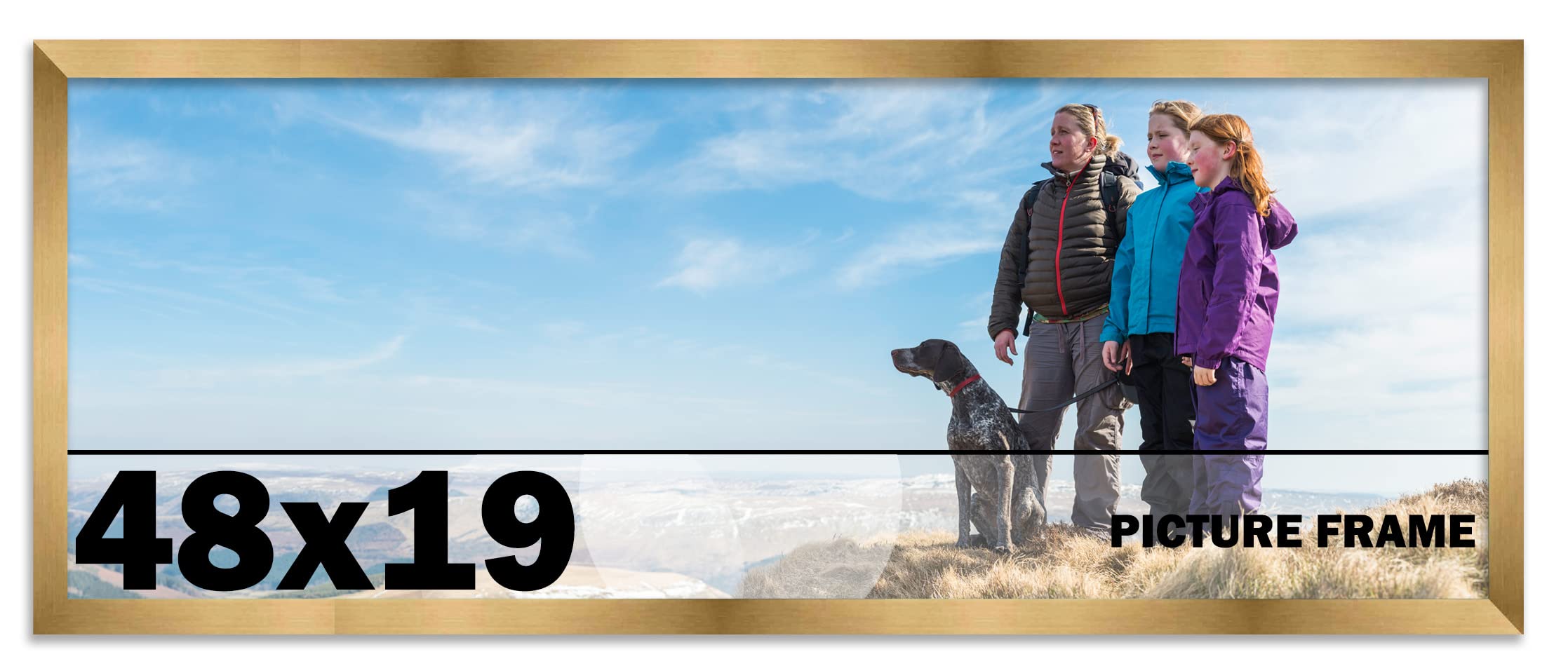 48x19 Inch Modern Metallic Bronze Picture Frame - Shatterproof UV Acrylic Front & Acid-Free Foam Backing - Wall Hanging Photo Frame for Family Portraits, Living Room Decor, Wedding Photos & Office Display