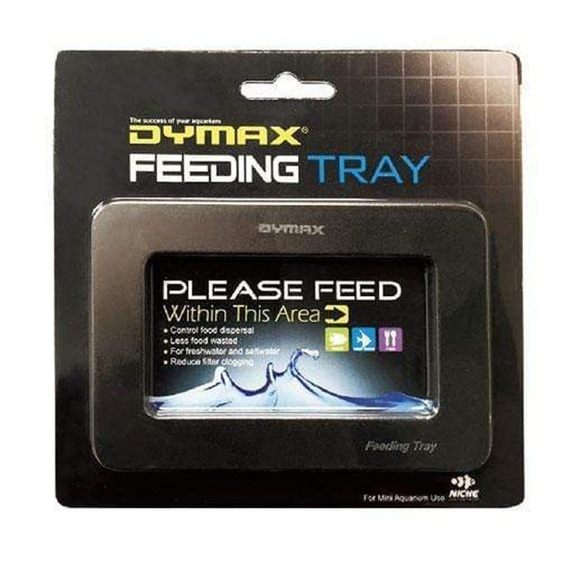 Dymax Large Feeding Tray for Reptiles - Perfect for Bearded Dragons, Turtles & Lizards - Easy-Clean Food Dish for Terrariums & Vivariums