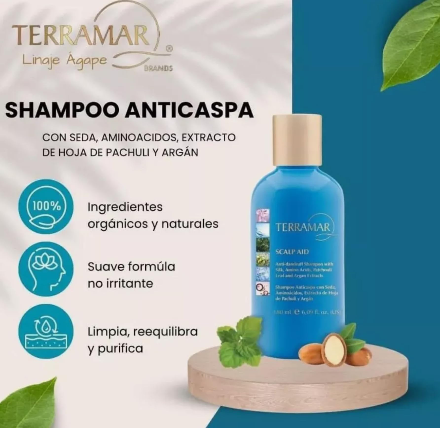 TERRAMAR Anti-Dandruff Shampoo with Silk Proteins, Amino Acids, Patchouli Leaf & Argan Oil Extracts - Gentle Scalp Care for Dry, Itchy Scalp & Flakes - Perfect for Daily Use at Home or Travel