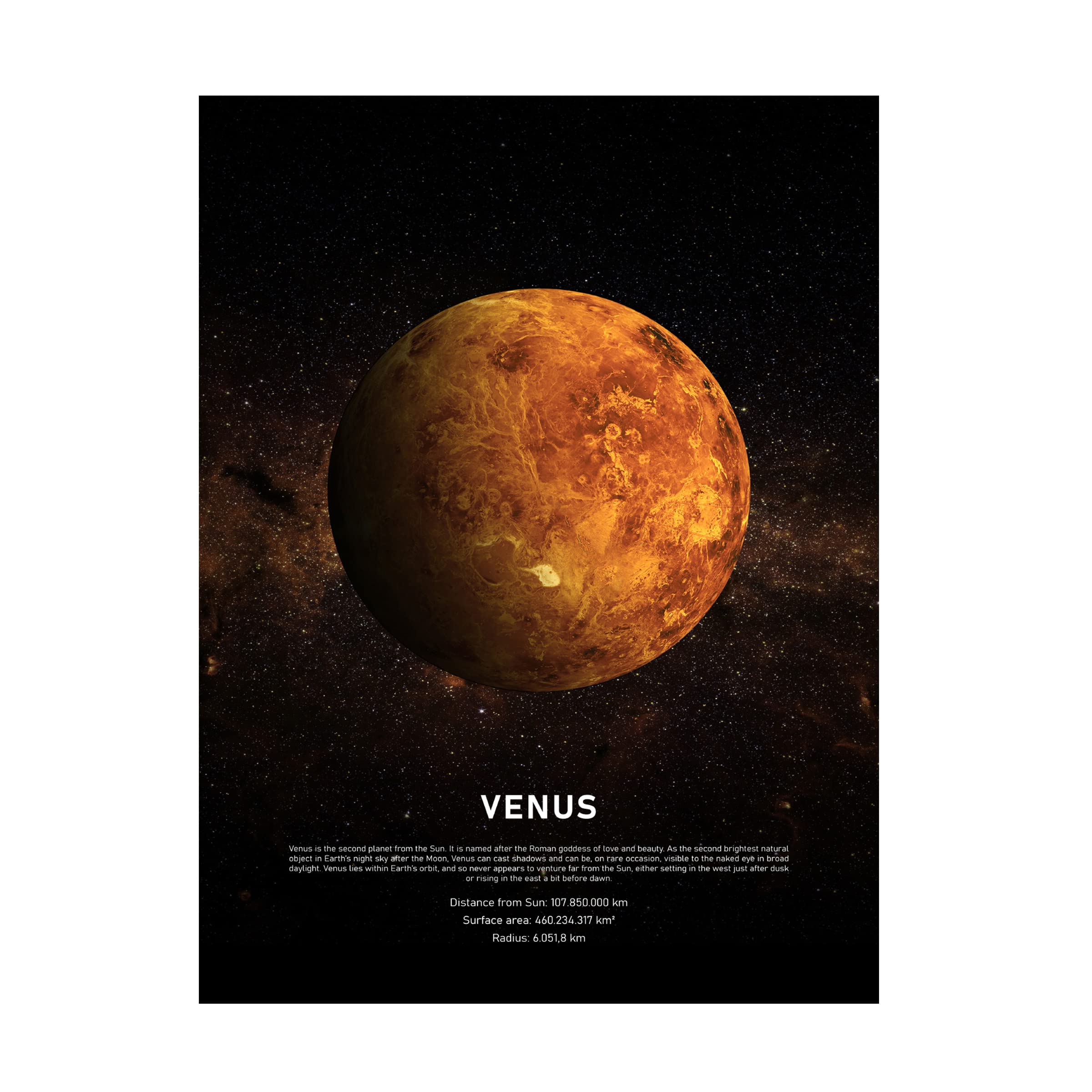 Trademark Fine Art 'Venus' Canvas Wall Art by Design Fabrikken - Perfect for Living Room, Bedroom & Office Decor