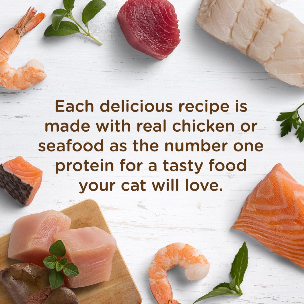 Rachael Ray Nutrish Grain Free Natural Wet Cat Food - Tuna Purrfection with Flaked Tuna in Savory Sauce, 2.8oz Cup (Pack of 24) | Premium Wet Cat Food for Adult Cats, Kitten Food & Senior Cats | Perfect for Mealtime, Weight Management & Picky Eaters