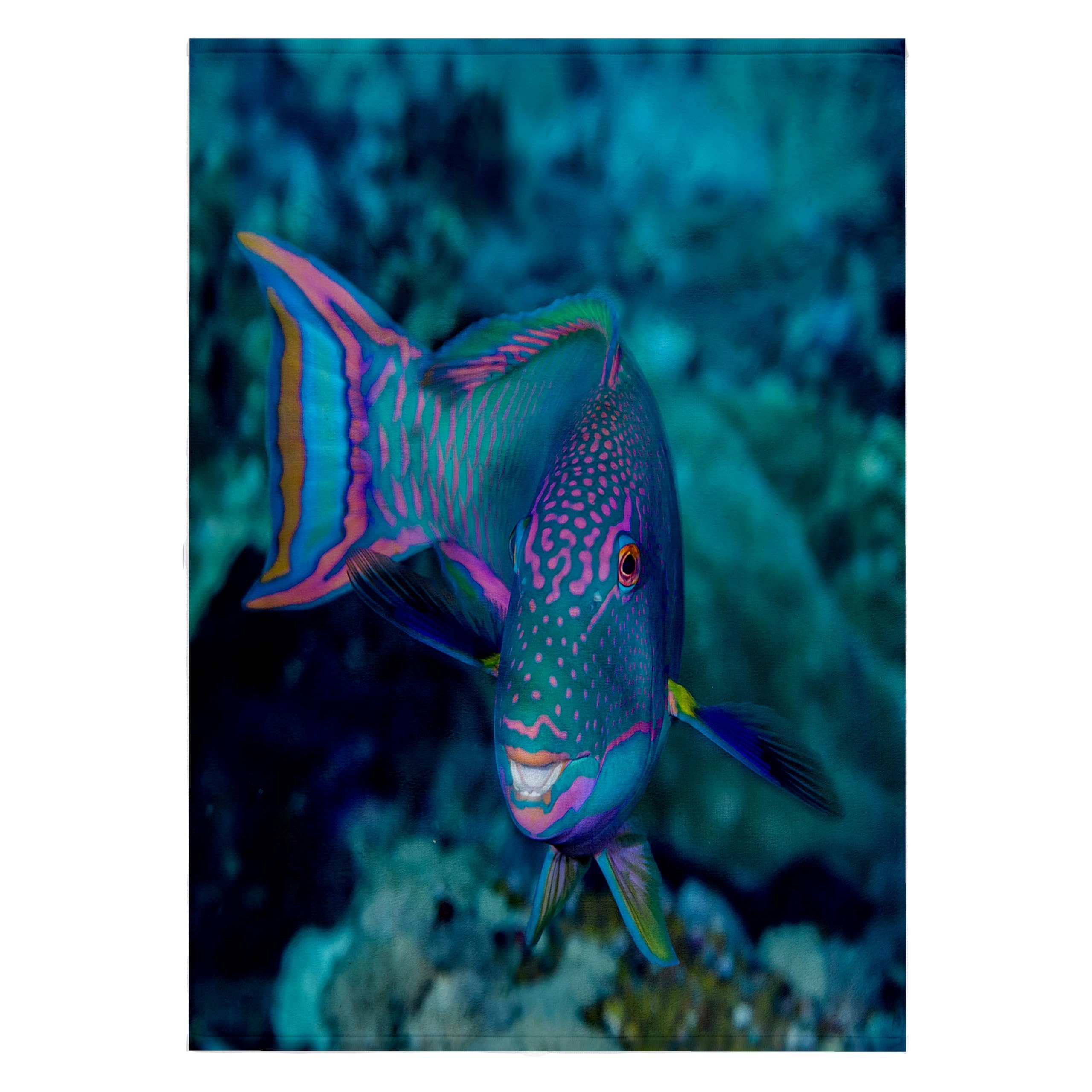 3D Rose 22x30 Inch Bath Hand Pool Towel - South Pacific Solomon Islands Parrotfish Fish Design | Soft Absorbent Quick-Dry Beach Towel for Swimming, Vacation & Home Decor