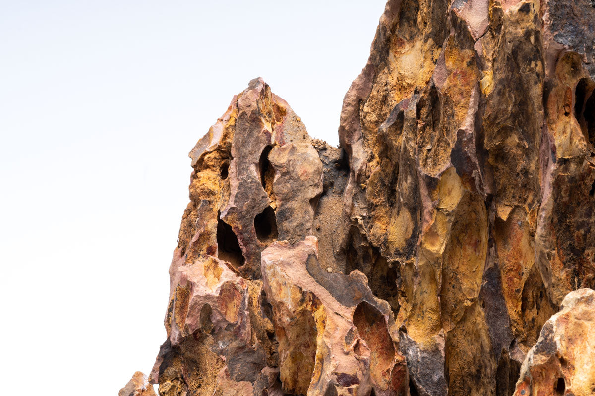 Premium Flat Bottom Dragon Ohko Stone for Aquascaping - Natural Hardscape Rock for Fish Tanks, Aquariums & Zen Gardens