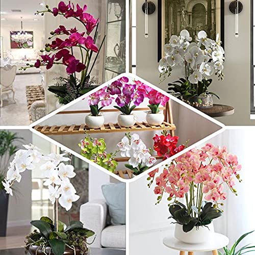 40 Inch Artificial Phalaenopsis Silk Orchid Flowers - Real Touch Lifelike Branches, Pack of 2 (Red) - Perfect for Home, Office, Wedding, Party & Event Decorations