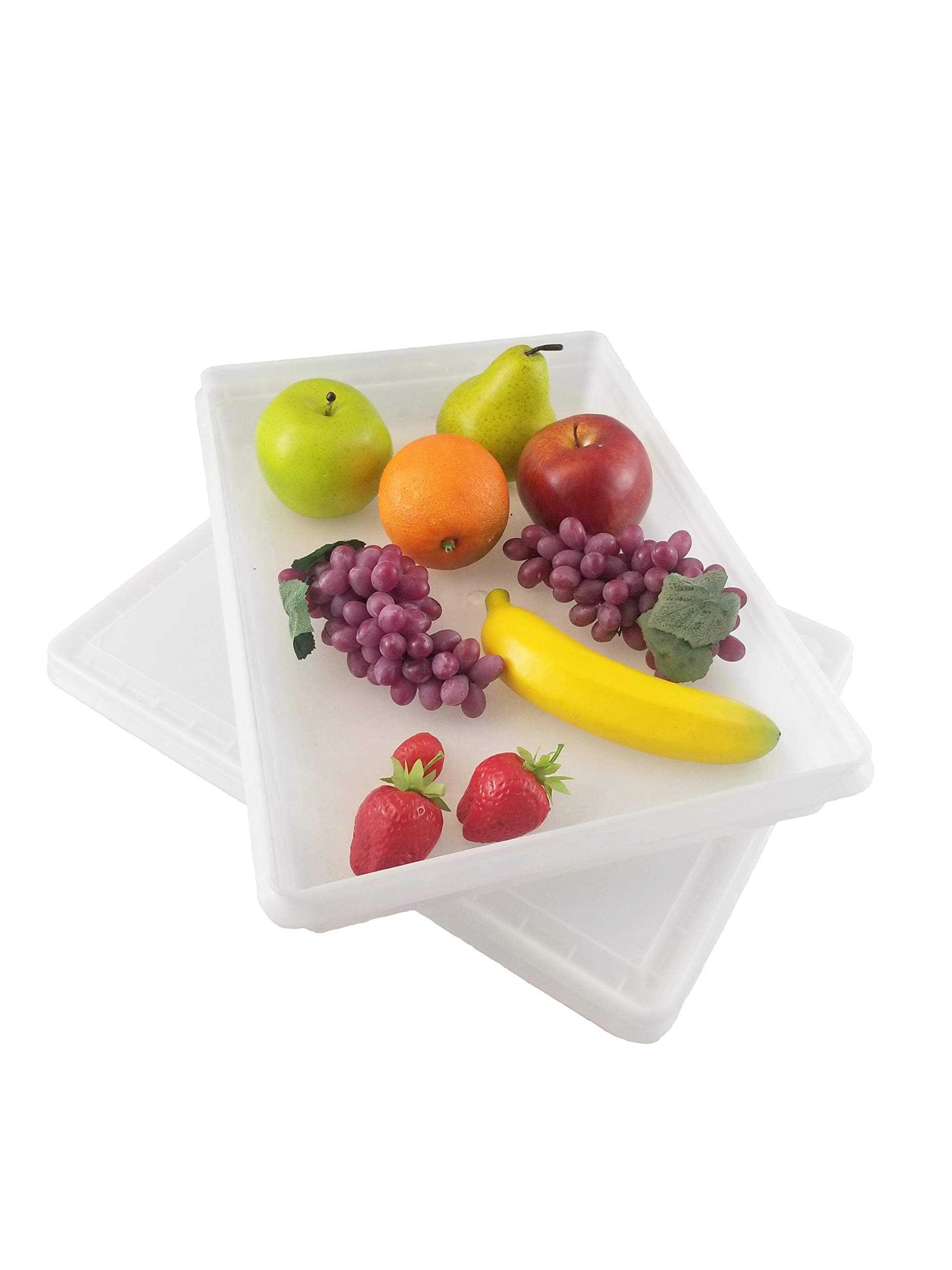 10lb Plastic Fish Tubs & Food Storage Bins - 11.5