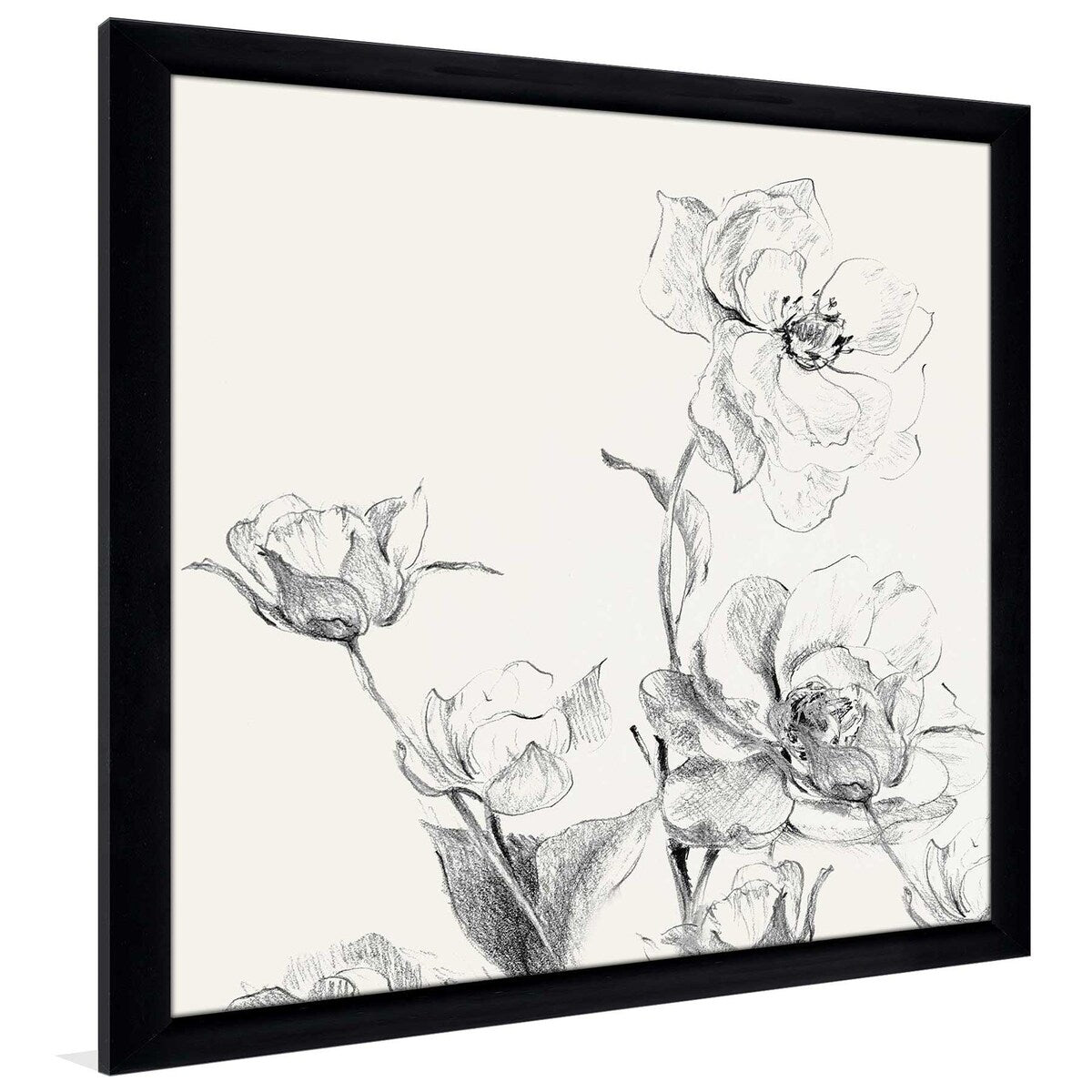 Amaryllis Field Square Art Print on Acrylic - Modern Wall Decor for Living Room, Bedroom & Office