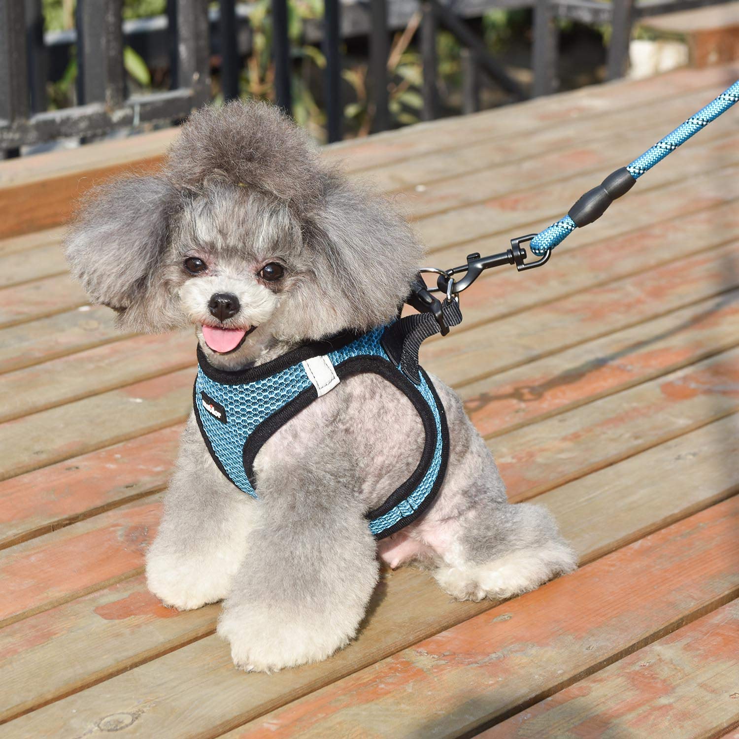 Breathable Step-In Dog Harness for Small & Medium Dogs - Adjustable Pet Vest Harness for Puppies & Cats (Blue) | Perfect for Walking, Training & Outdoor Adventures