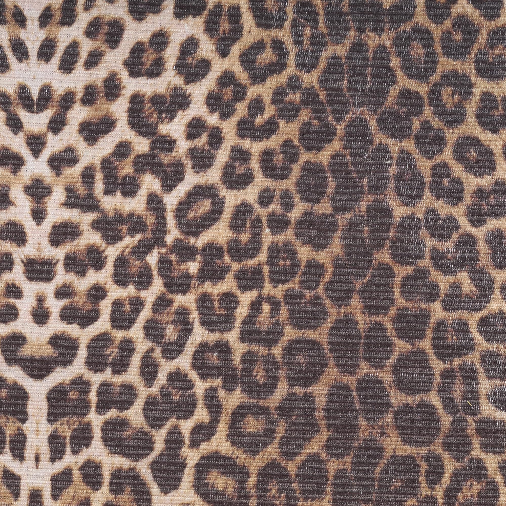 Nourison Washable Leopard Print 6' x 9' Area Rug - Easy Clean, Non-Shedding, Stain Resistant | Perfect for Bedroom, Living Room, Dining Room & Kitchen Decor (6x9)