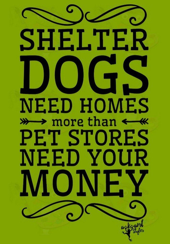 Awkwardstyles Shelter Dogs Need Homes T-Shirt - Black Quote Tee with Free Bookmark | Adopt Don't Shop Awareness Apparel for Dog Lovers & Animal Rescue Supporters