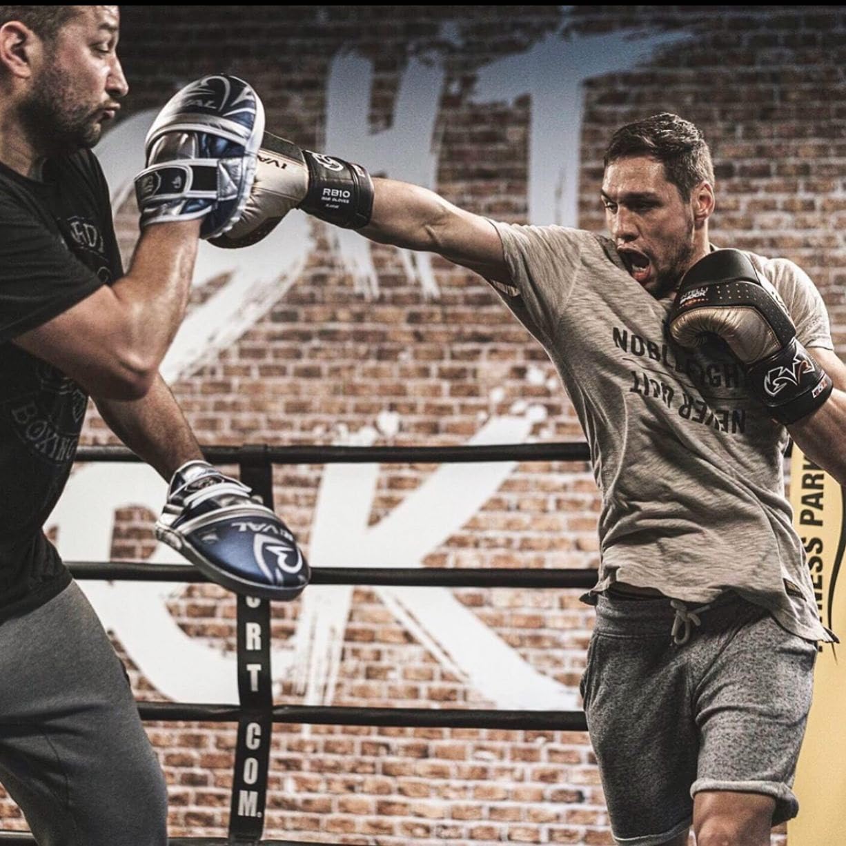 RIVAL RB10 Intelli-Shock Boxing Bag Gloves - Hook & Loop Closure, Ergonomic Fit, 1.25