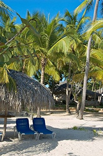 Lisa S. Engelbrecht Viva Wyndham Dominicus Beach Poster Print - 24x36 Wall Art Decor for Living Room, Bedroom & Office - Tropical Dominican Republic Vacation Photography