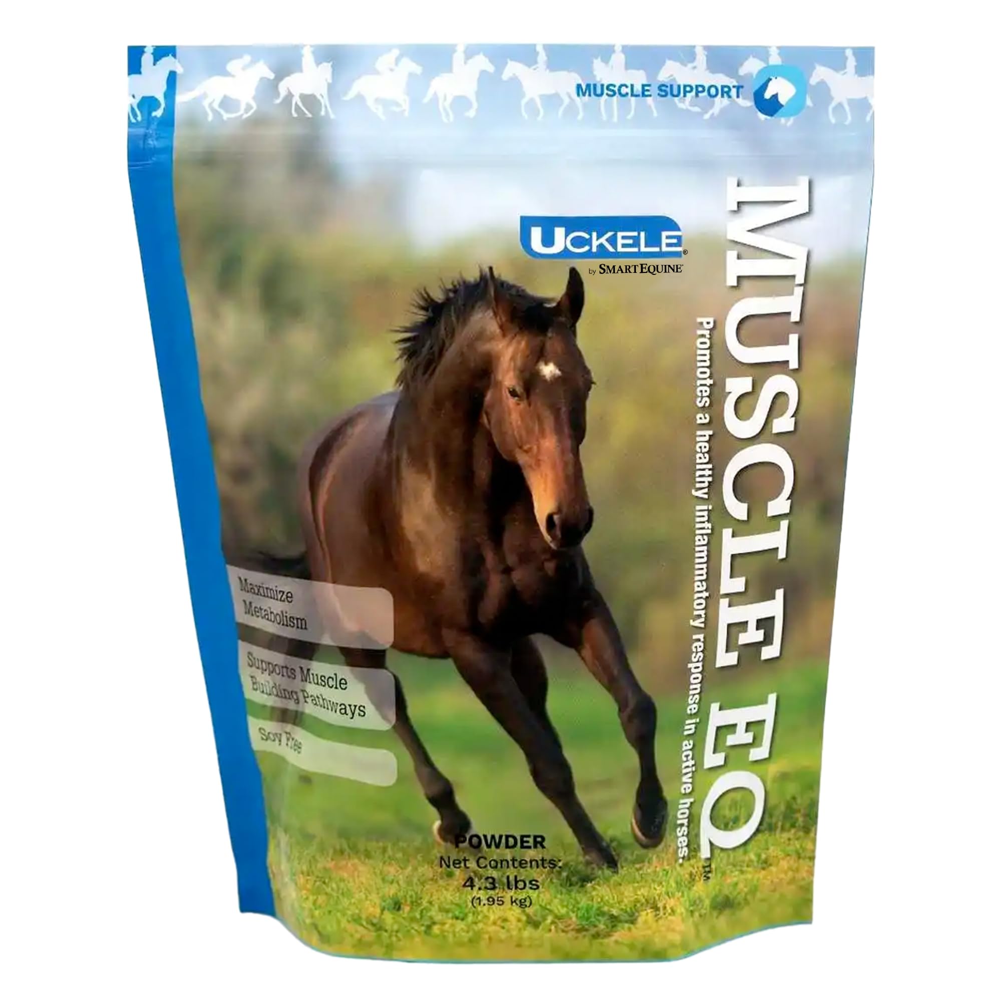 SmartEquine Muscle EQ™ Powder for Horses - L-Carnitine & Beta-Alanine Muscle Supplement | Supports Muscle Function & Recovery | 4.3 lb Bag | Ideal for Performance Horses & Post-Workout Recovery