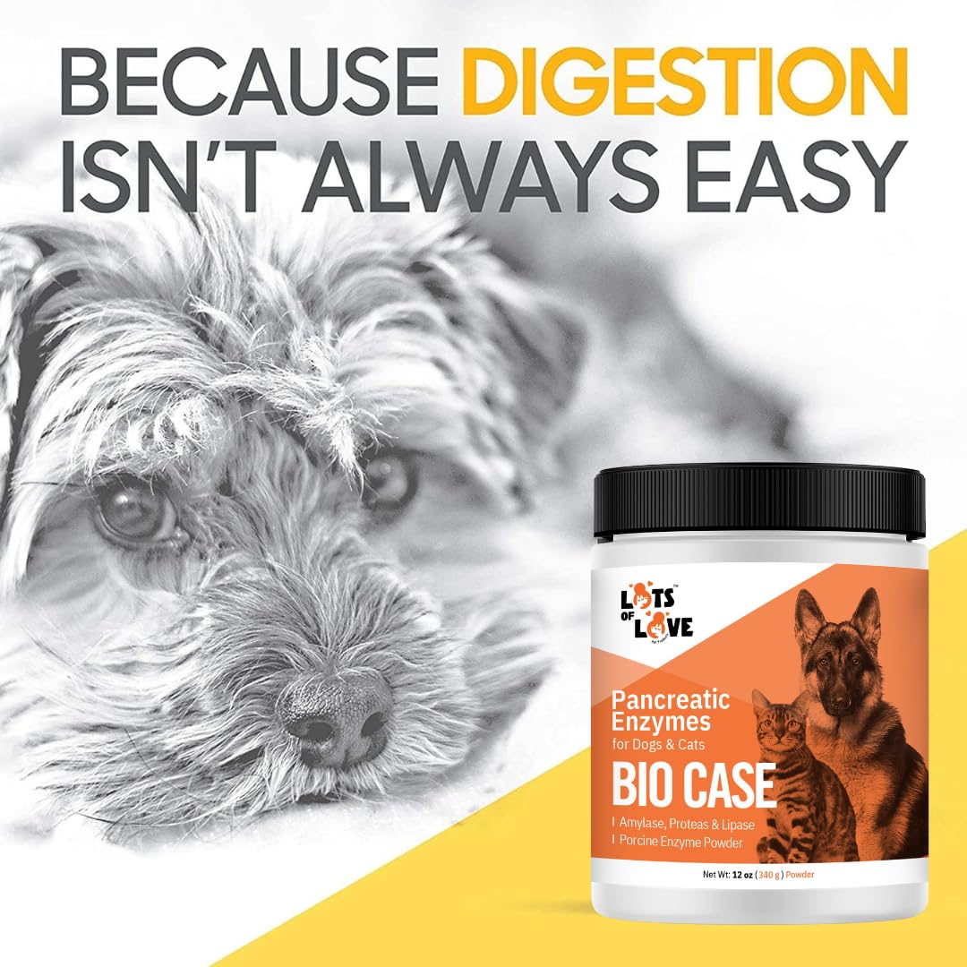 Bio Case Pancreatic Enzyme Powder for Dogs & Cats - 12 Oz Digestive Support Supplement | Formerly Thomas Labs BioCase | Supports Healthy Digestion for Pets with Pancreatic Issues