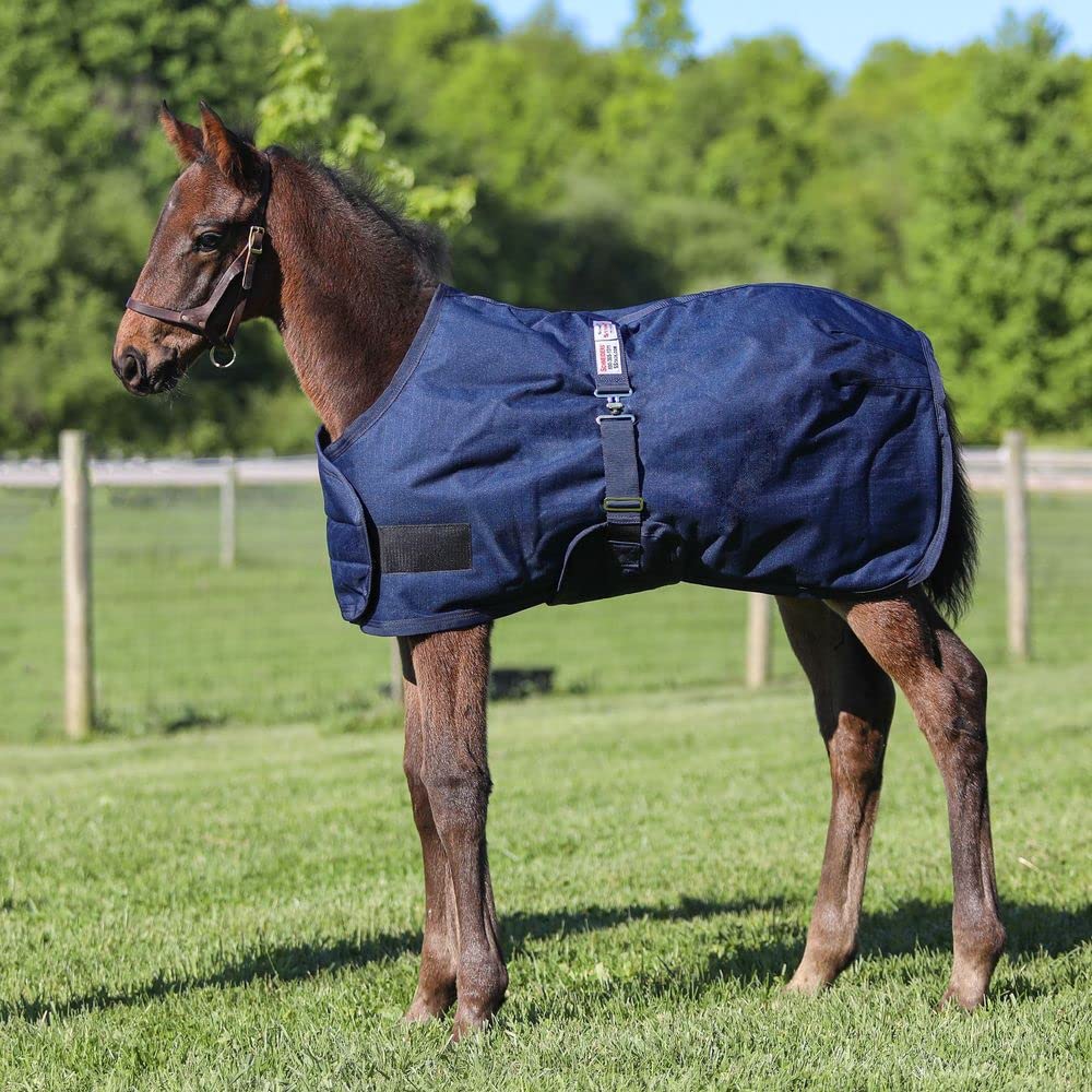 Waterproof Euro Fit Bellyband Foal Horse Turnout Blanket - Mini Horse Winter Blanket for Foals & Ponies | Ideal for Cold Weather, Rain Protection & Stable Use