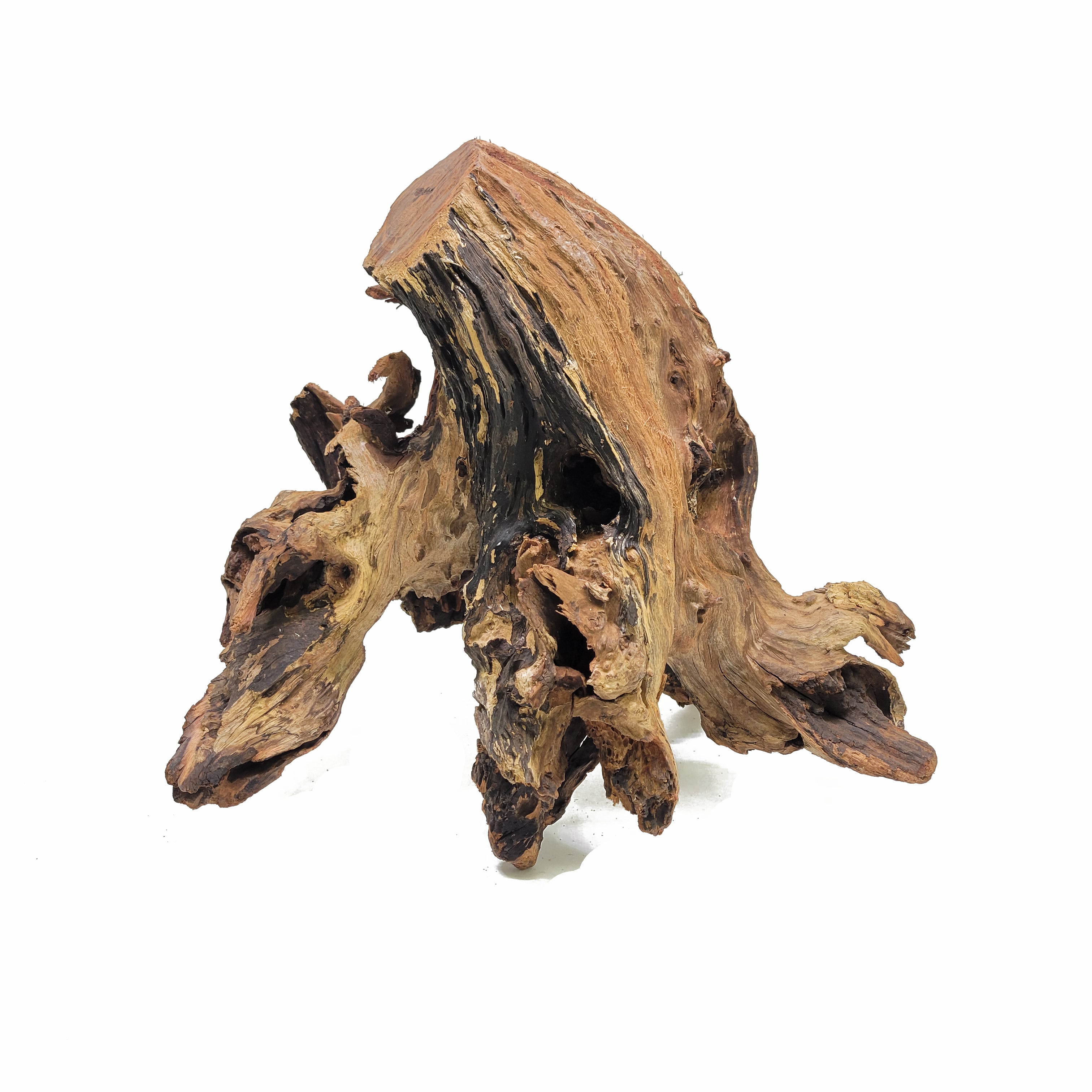 Premium Malaysian Driftwood for Aquascaping (12-20 Inches) - Natural Aquarium Decor for Fish Tanks, Shrimp Habitats & Terrariums - Enhances Water Quality & Creates Stunning Underwater Landscapes