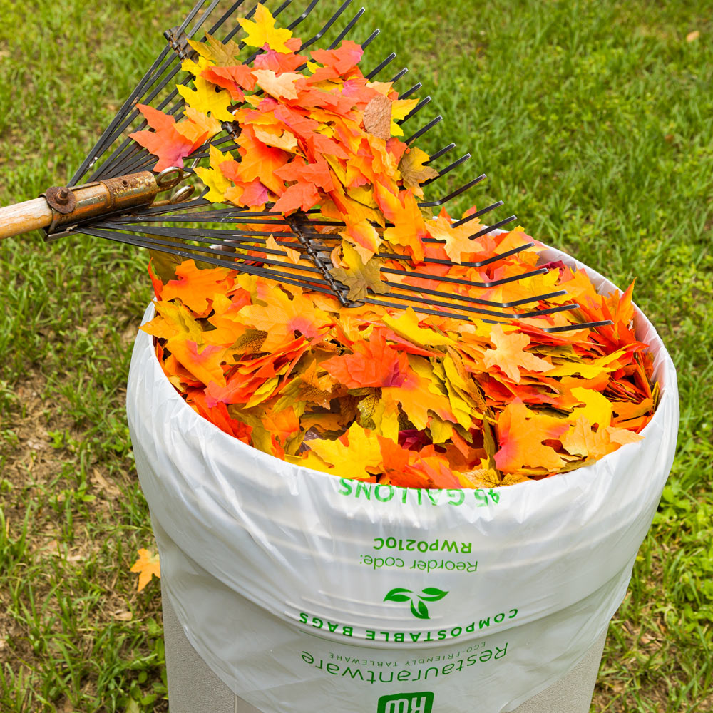 Basic Nature 45 Gallon Clear Compostable Trash Bags - 100 Count Eco-Friendly Garbage Can Liners for Kitchen, Office & Outdoor Waste Disposal