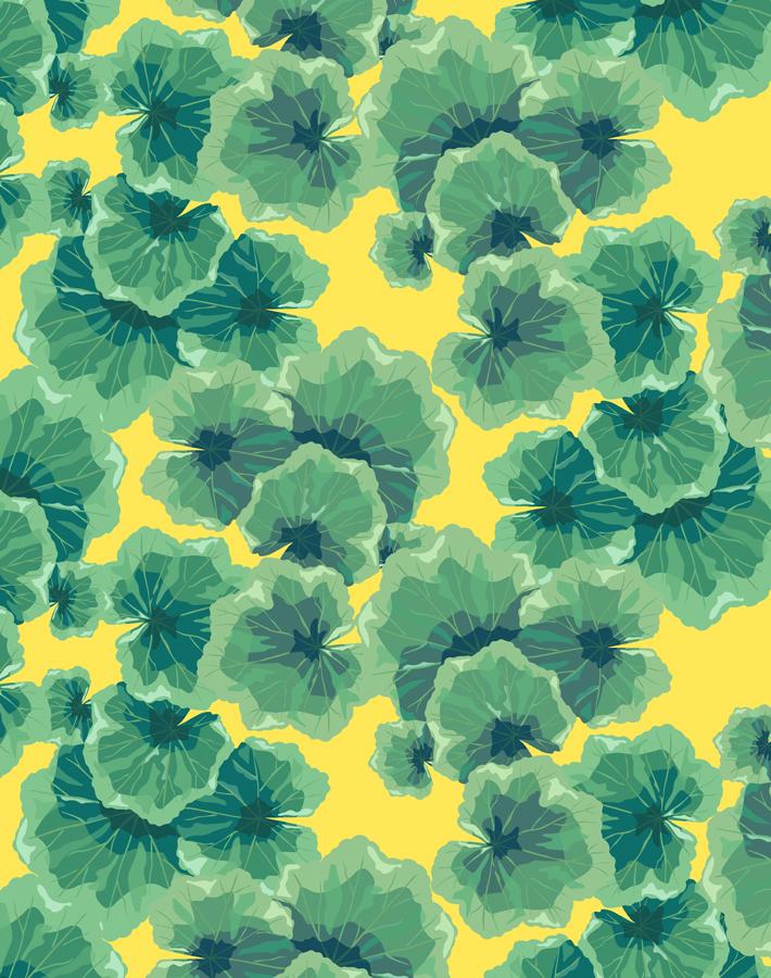 Nathan Turner Geranium Leaves Wallpaper - Floral Daffodil Design for Living Room & Bedroom Decor