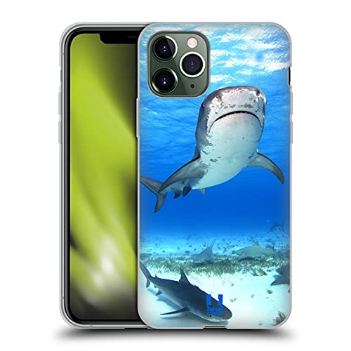 Tiger Shark