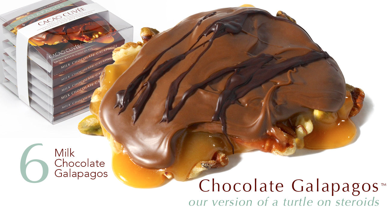 Delicious Chocolate Galapagos - 6-Piece Milk Chocolate Gift Box | Perfect for Holidays, Birthdays & Corporate Gifts