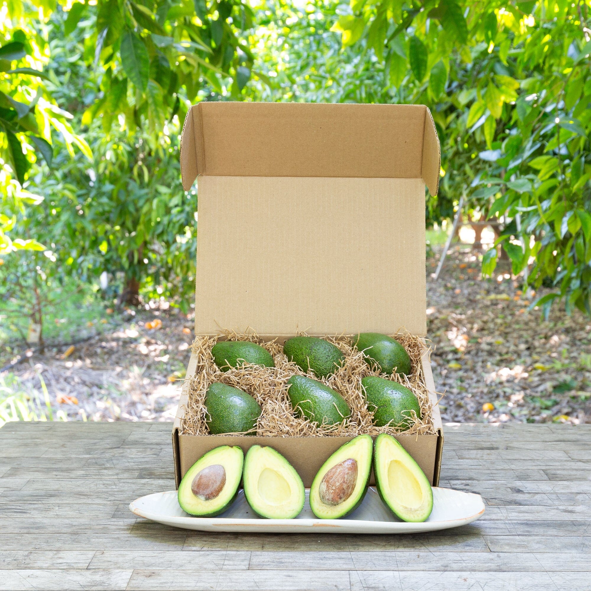 Fresh Organic Zutano Avocados - Premium Hass Avocado Alternative for Salads, Smoothies & Healthy Snacks - Perfect for Guacamole & Keto Diet