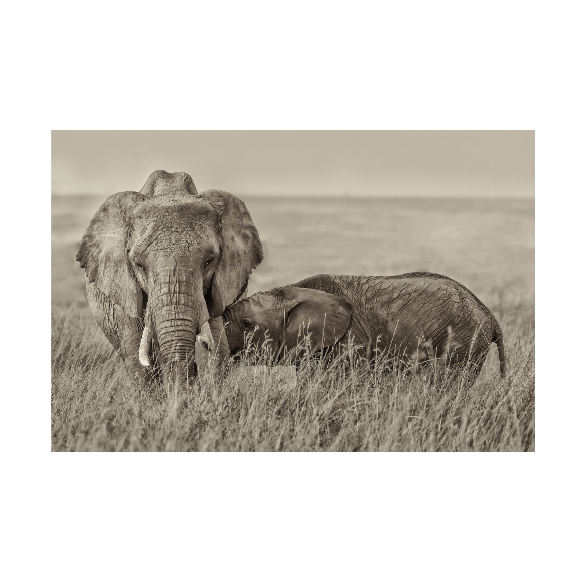 Trademark Fine Art 'Snuggling' Canvas Wall Art by Henry Zhao - Romantic Couple Painting for Bedroom & Living Room Decor