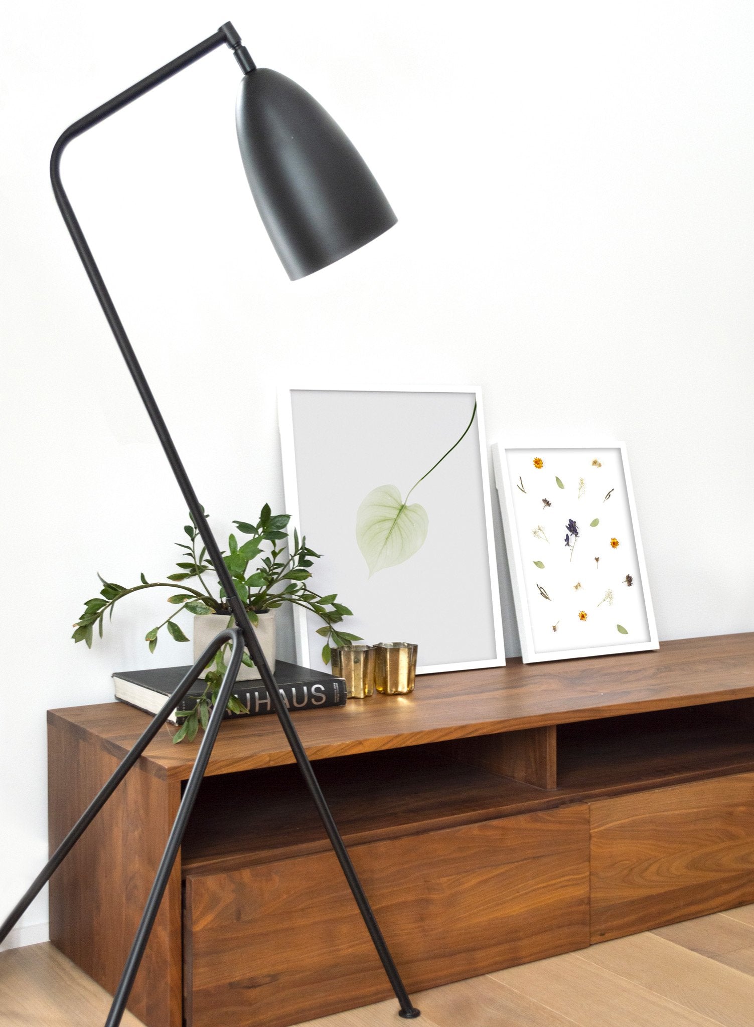 Pothos Leaf Poster - Beautiful Green Plant Wall Art for Home & Office Decor - Perfect for Living Room, Bedroom, or Workspace