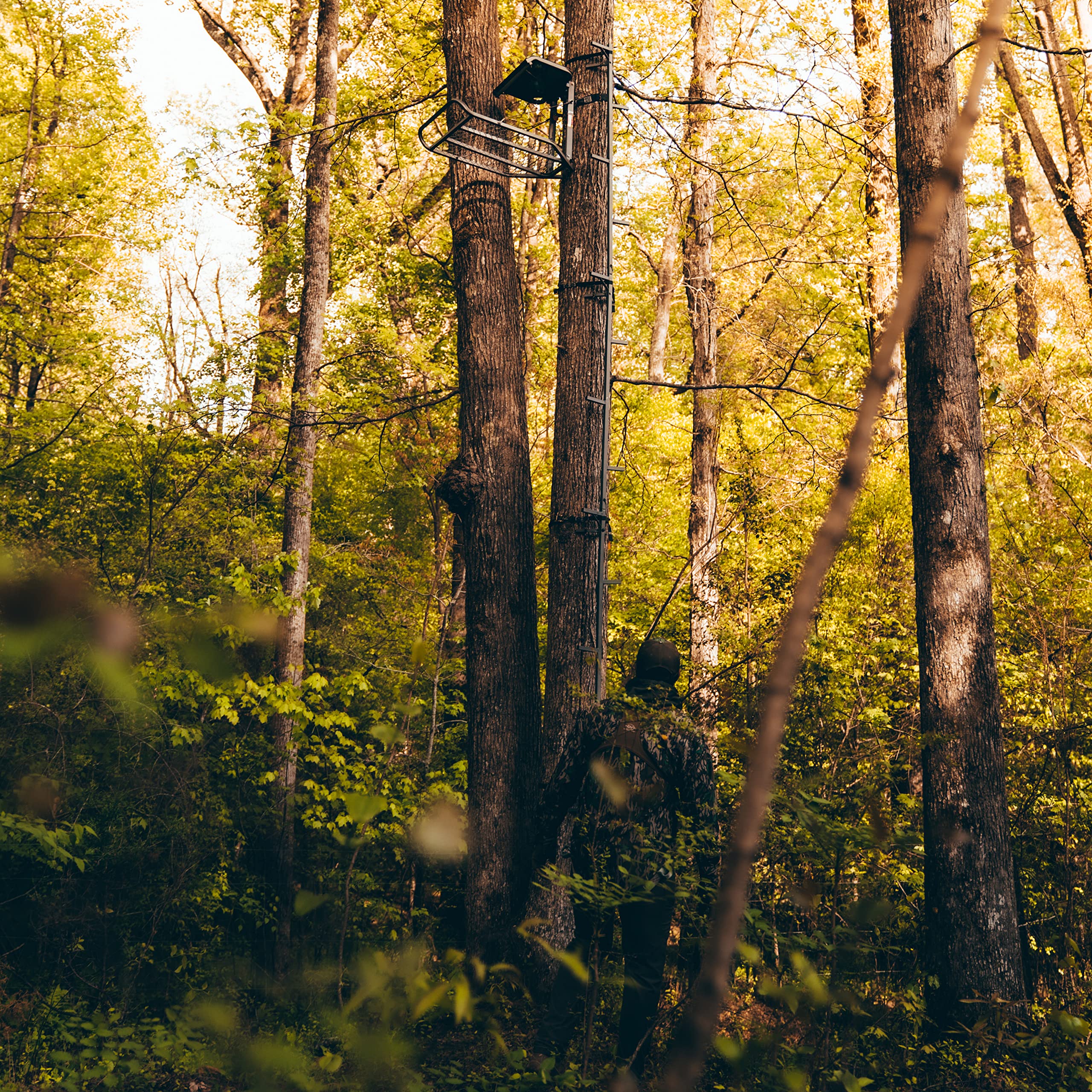 Premium 15-Foot Tripod Stand for Hunting & Wildlife Observation | Rivers Edge Ardisam Direct Outdoor Products | Sturdy & Adjustable for Tree Stands, Shooting Rests & Outdoor Adventures