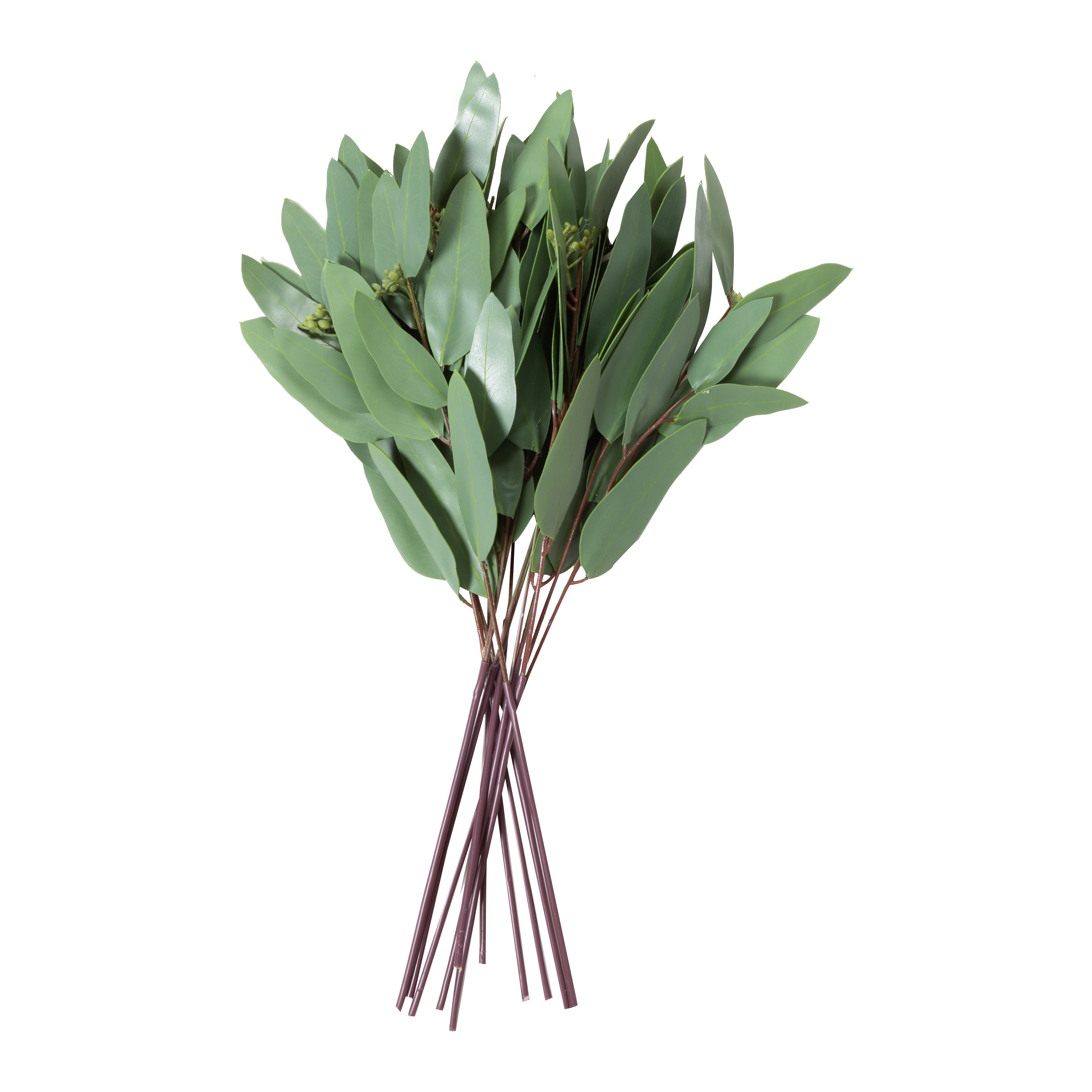 Fresh Eucalyptus Bundle for Home Decor, Aromatherapy & Shower - Natural Air Freshener & Relaxing Spa Experience