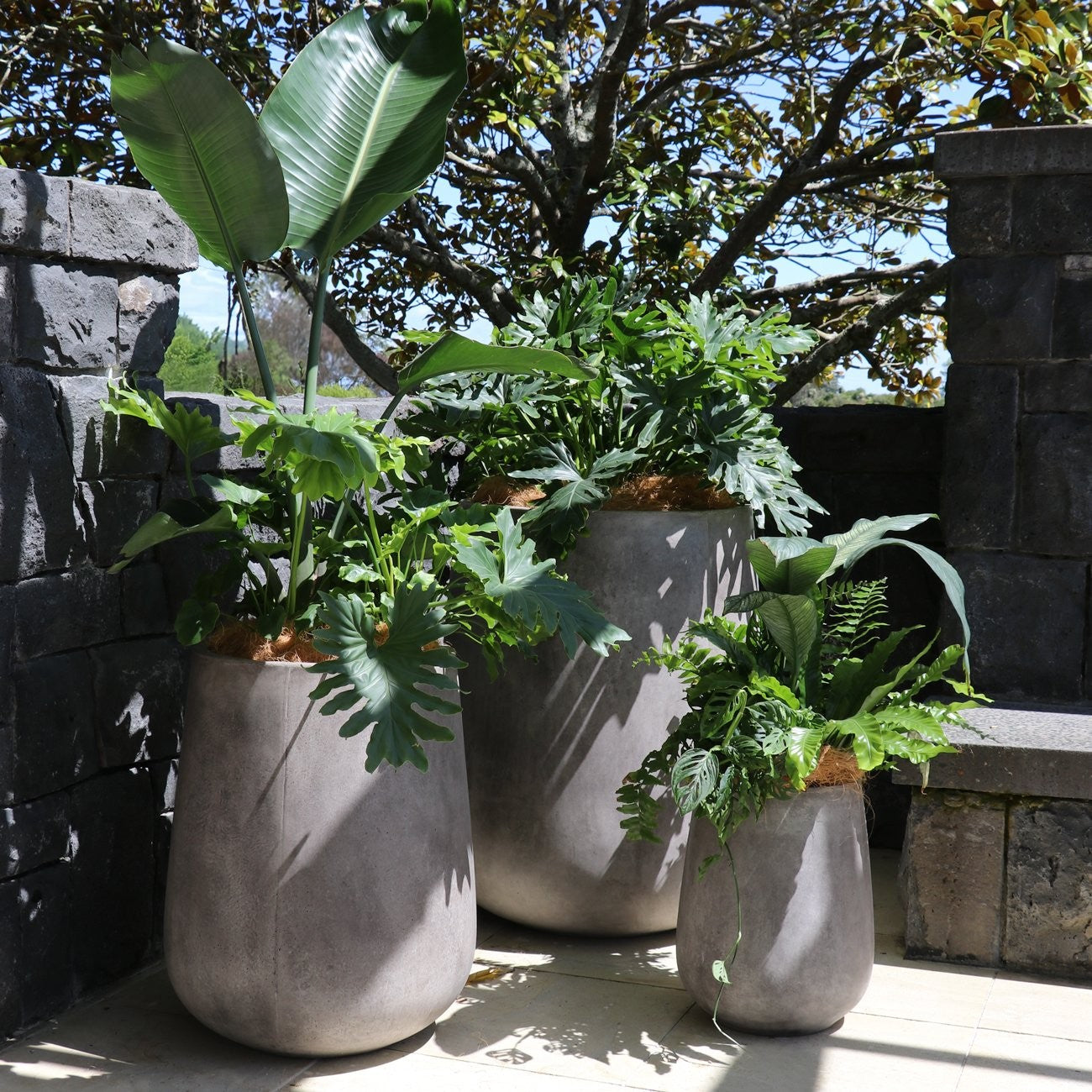 Karamea Weathered Cement Outdoor Planter Pot - Medium Size Modern Garden Decor for Patio, Balcony & Backyard Landscaping