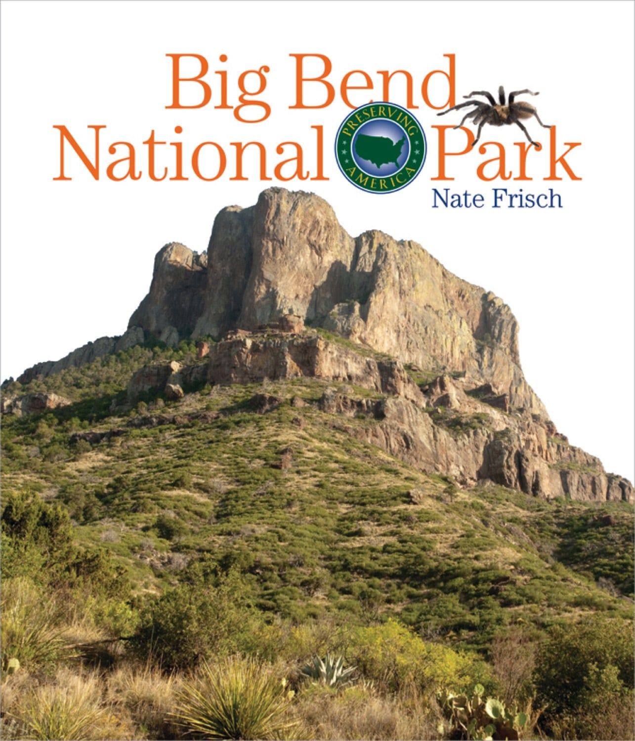 Big Bend National Park - Explore Stunning Desert Landscapes & Hiking Trails in Texas | Perfect for Outdoor Adventures & Nature Lovers