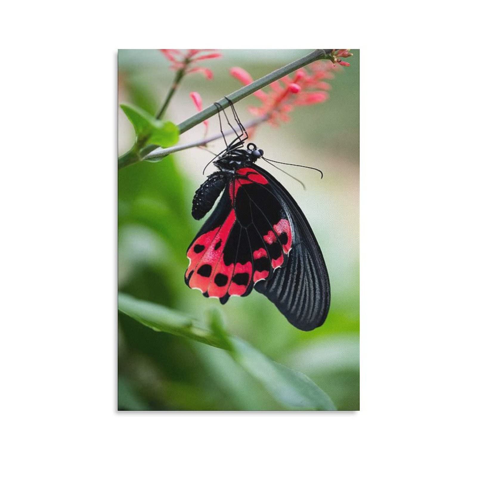 Scarlet Mormon Butterfly Canvas Wall Art - 8x12 Inches (20x30cm) Framed Nature Painting for Living Room, Bedroom & Office Decor - Perfect Gift for Home, Wedding & Housewarming | Nature-Inspired Home Decor for Wall Display