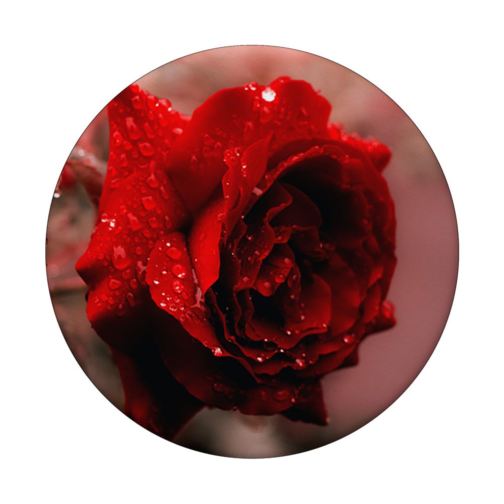 Red Rose PopSockets Adhesive PopGrip - Phone Grip & Stand for iPhone, Samsung & Smartphones - Perfect for Selfies, Video Calls & Secure Grip