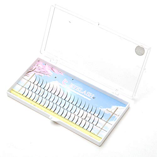 Hot I Shape Fairy Angel Eyelash D Curl - 10mm Individual False Eyelashes for Classic Lash Extensions | Natural Look for Daily Wear & Special Occasions