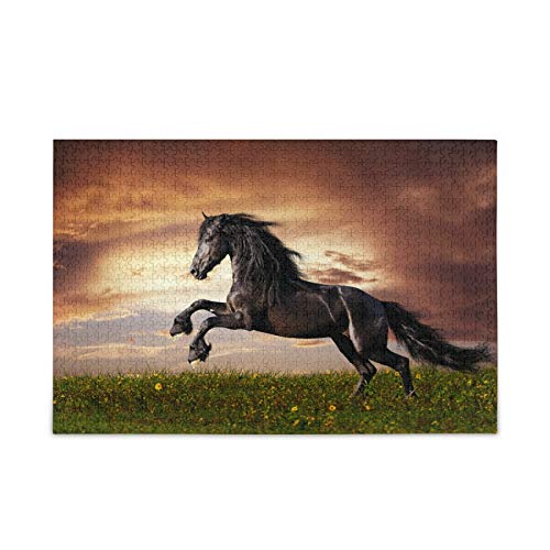 Black Friesian Horse