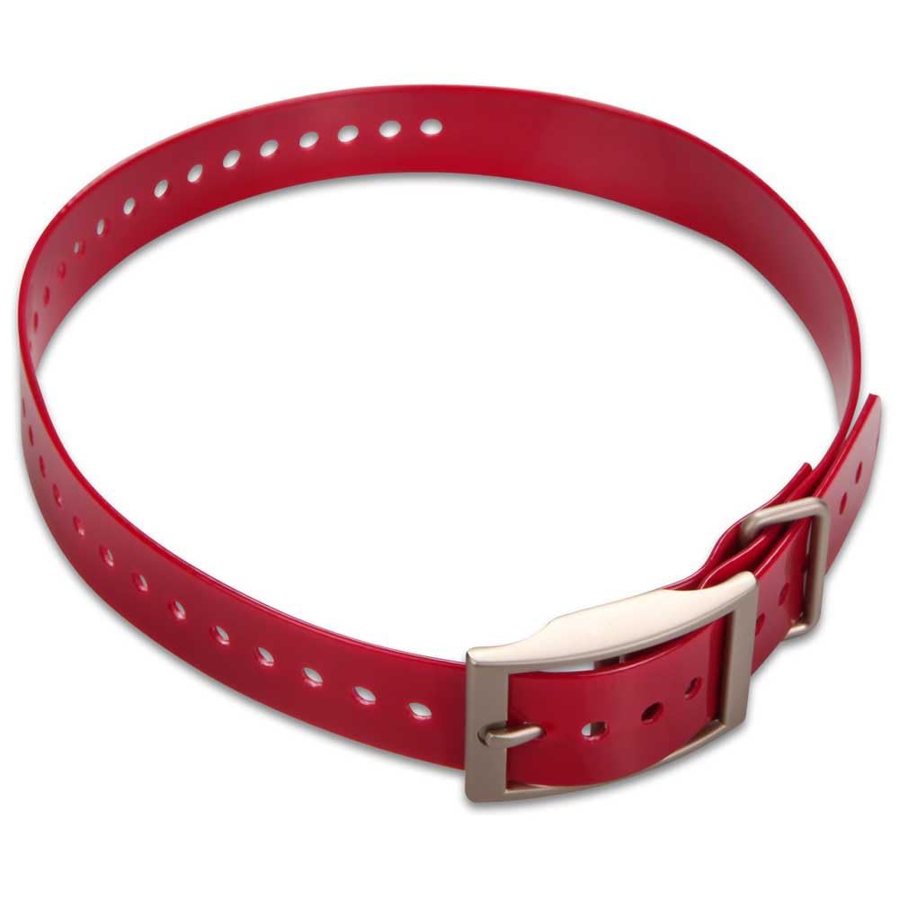 Garmin 1-Inch Red Dog Collar - Durable Nylon Pet Collar with Quick-Release Buckle for Small to Medium Dogs - Perfect for Training, Walks & Outdoor Adventures