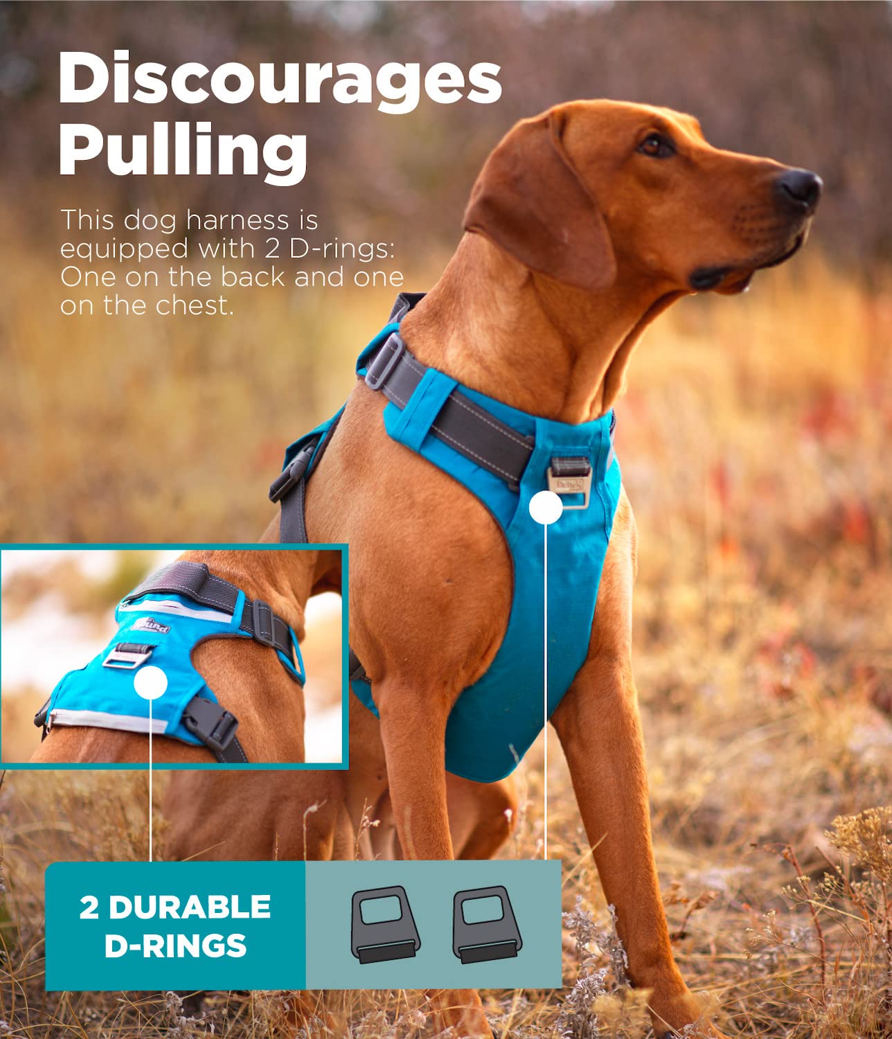 Outward Hound Boulder Adventure Adjustable Dog Harness with Pockets - Turquoise Medium | Durable Pet Walking Gear for Hiking, Running & Outdoor Activities