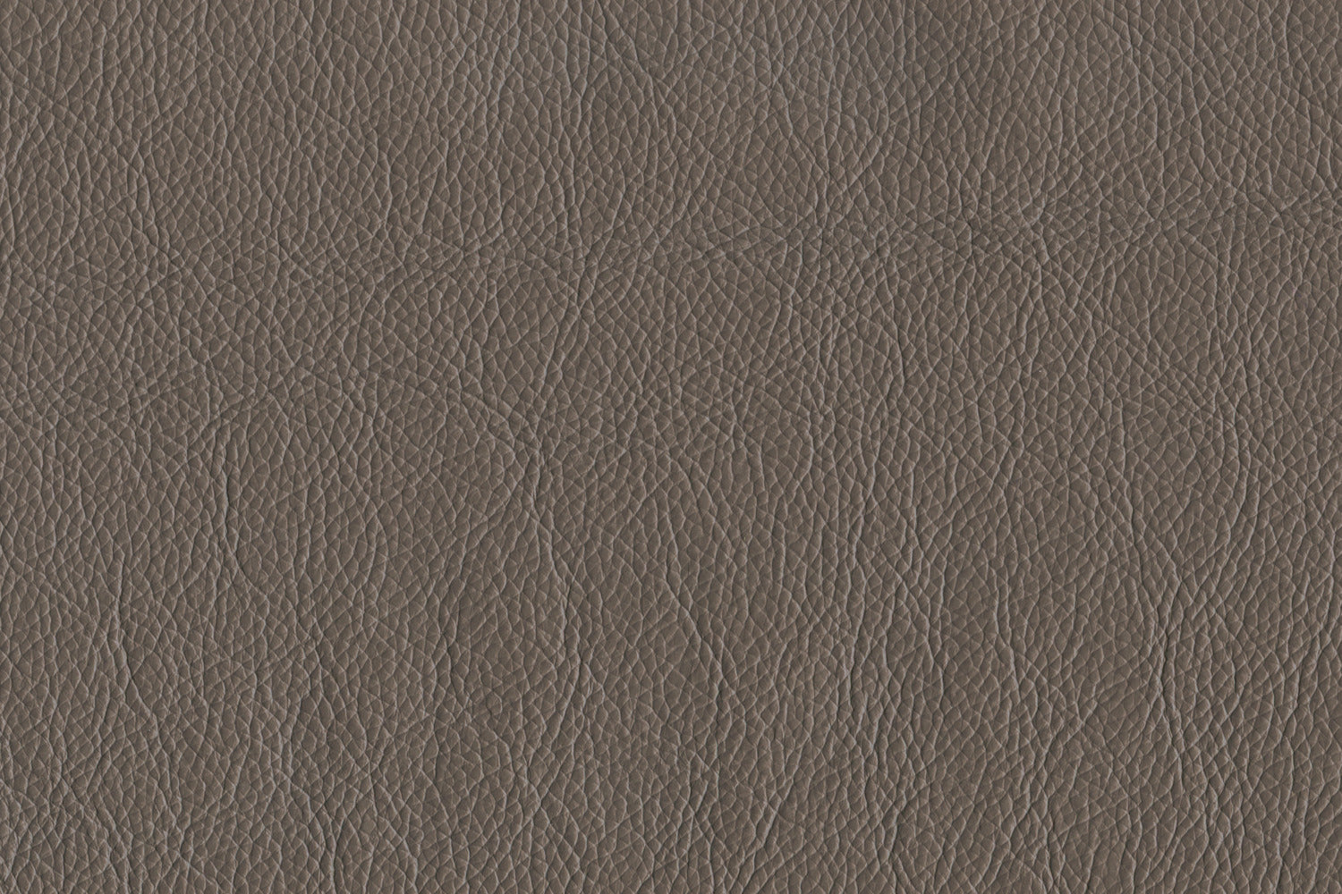 Premium Braylon Leather Loveseat Sofa - Genuine African Grey Leather - Perfect for Living Room, Office or Lounge Area