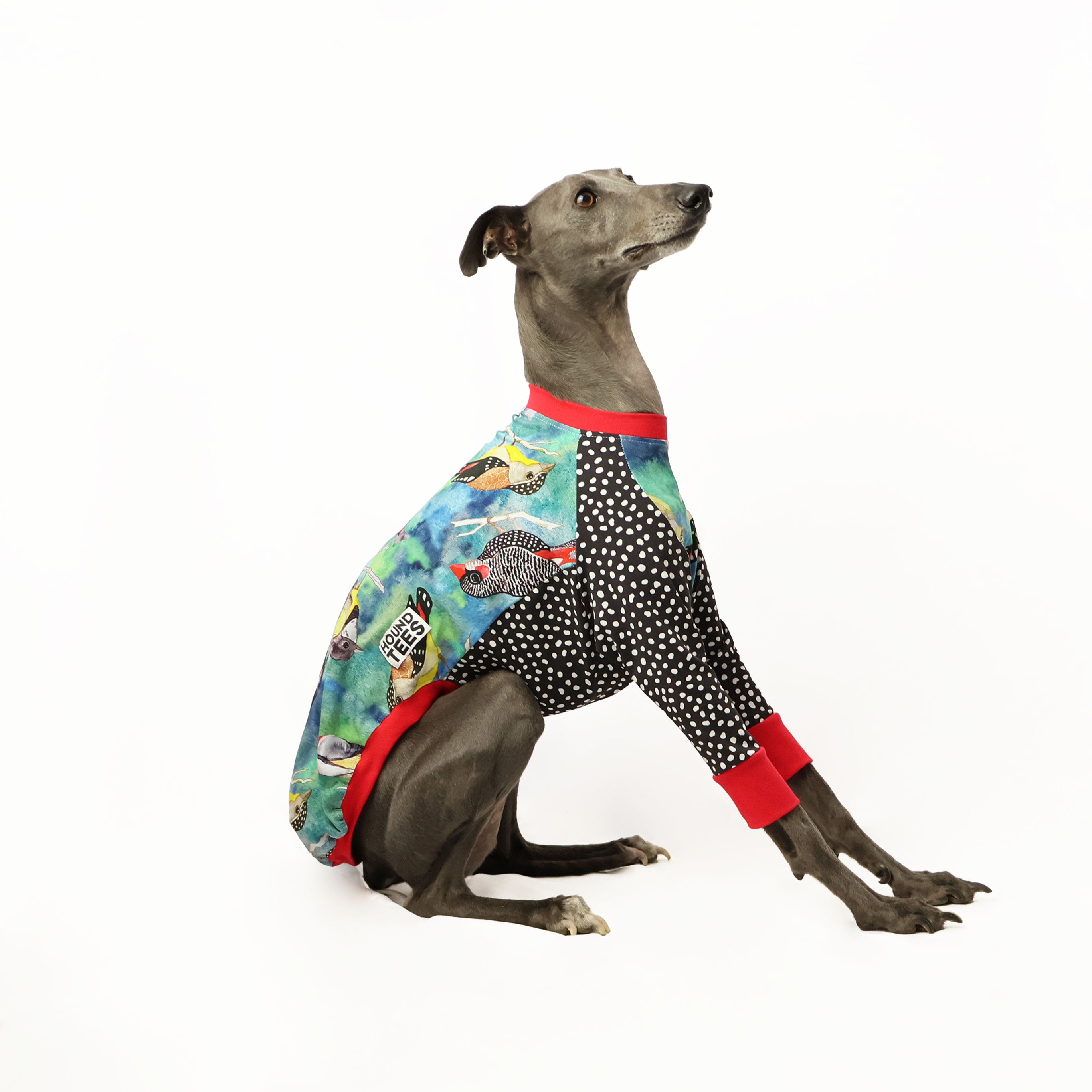 Birbs Whippet Long Sleeve Hound T-Shirt - Comfortable Dog Lover Apparel for Casual Wear & Outdoor Adventures