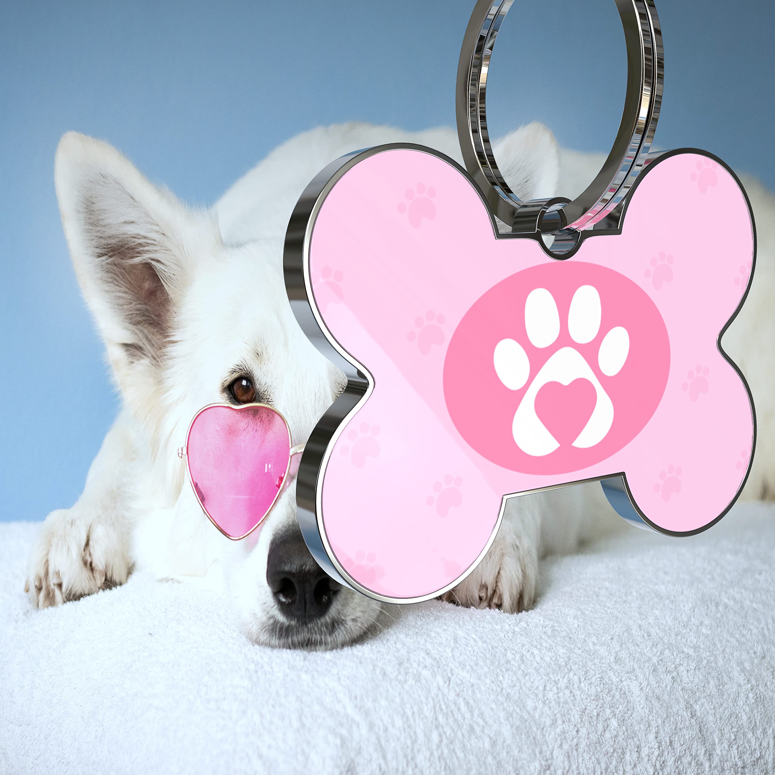 QR Code Dog Tag - Personalized Pet ID Tag with Custom Name & Instant Location Alerts | Waterproof & Durable for Dogs & Cats | Perfect for Travel, Hiking & Daily Walks