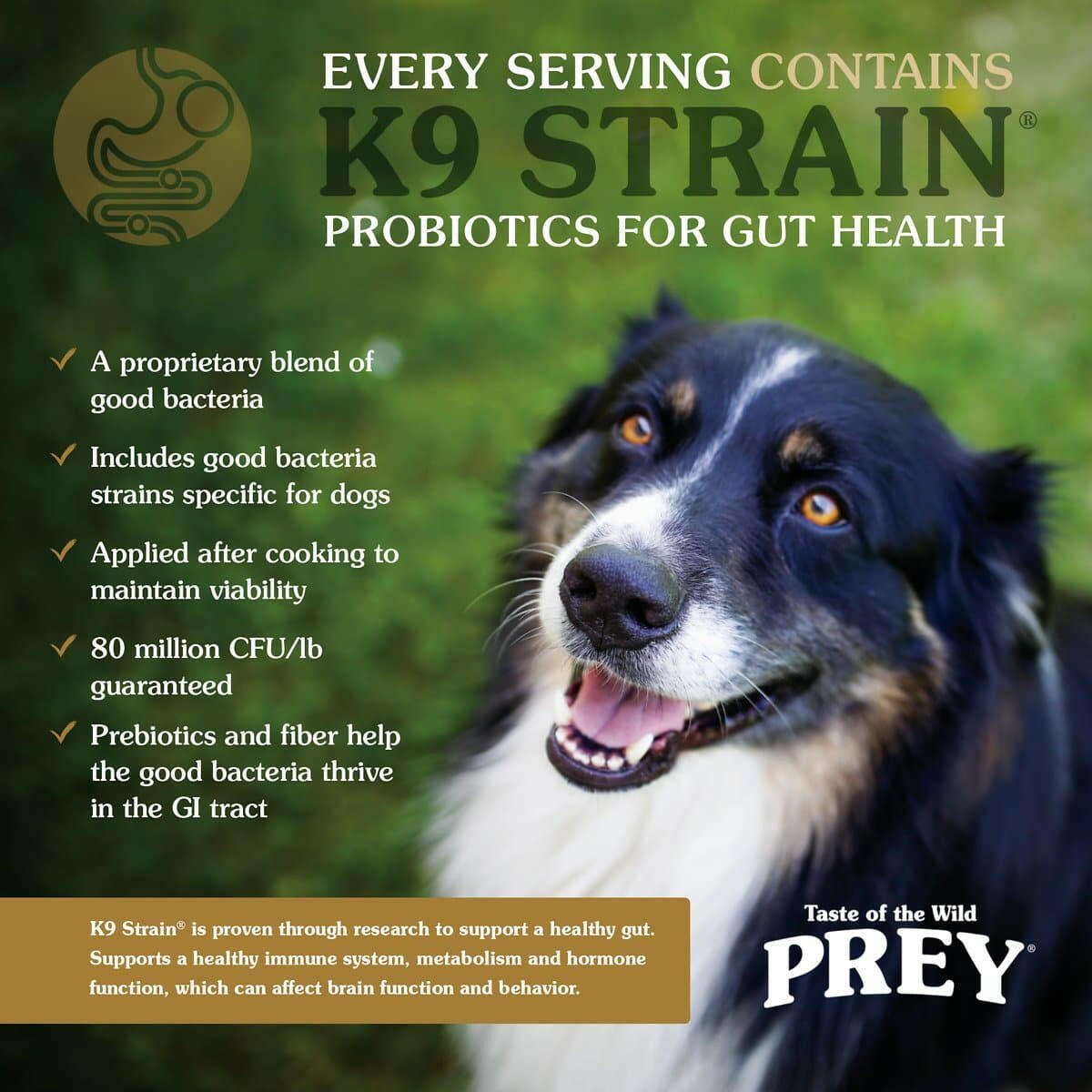 Taste of the Wild PREY Turkey Grain Free Dry Dog Food - High Protein Natural Kibble for Adult Dogs - Perfect for Active Pets & Outdoor Adventures